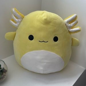 Treyton squishmallows